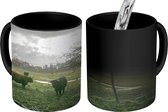 Magische Mok - Foto op Warmte Mok - Schotse Hooglanders - Dieren - Koeien - 350 ML