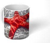 Mok - Zeester - Rood - Water - 350 ML - Beker