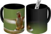 Magische Mok - Foto op Warmte Mok - Kolibrie - Vogel - Boom - 350 ML