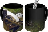 Magische Mok - Foto op Warmte Mokken - Koffiemok - Panda's - Hout - Trap - Magic Mok - Beker - 350 ML - Theemok