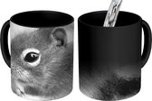 Magische Mok - Foto op Warmte Mok - Etende eekhoorn op wazige achtergrond in zwart-wit - 350 ML