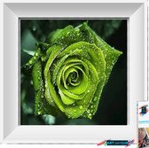 Artstudioclub®  Diamond painting volwassenen 20*25cm  bloem