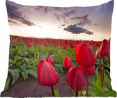 Sierkussen - Rode Tulpen En Een Zonsondergang - Multicolor - 50 Cm X 50 Cm