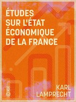 Homo œconomicus - Études sur l'état économique de la France