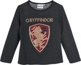 Harry Potter - longsleeve - meisjes - Gryffindor - 100% Jersey katoen - grijs - maat 134/140