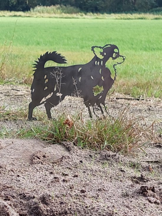 Animal en métal - Statue animal - Chihuahua - 33 x 25 - NL Manufacture