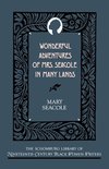 The Schomburg Library of Nineteenth-Century Black Women Writers- Wonderful Adventures of Mrs Seacole in Many Lands