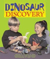 Dinosaur Discovery (Level 16)