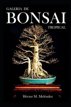 Libros de Mulato Bonsai- Galería de Bonsai Tropical
