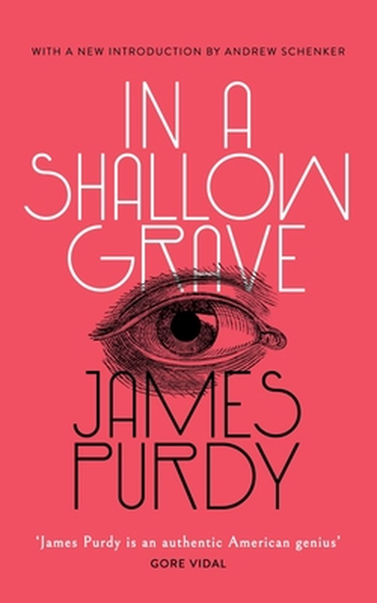 In a Shallow Grave (Valancourt 20th Century Classics) - James Purdy