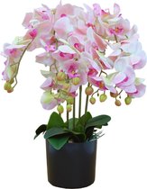 Orchidee Kunstplant 70 cm Lichtroze | Phaleanopsis Kunstplant | Kunst Orchidee | Kunstplanten voor Binnen