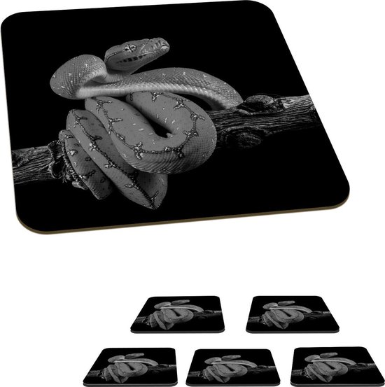 Onderzetters voor glazen - Gele boom python voor zwarte achtergrond ...
