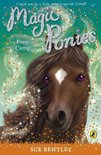 Magic Ponies Pony Camp