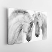 Canvas schilderij - Couple of beautiful white horses isolated on white background. High key image  -     777861169 - 115*75 Horizontal