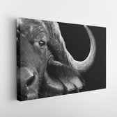 Canvas schilderij - Close up black and white image of an African cape buffalo -     145448056 - 50*40 Horizontal