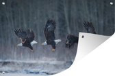 Affiche de jardin L'aigle s'envole - 120x80 cm - Jardin