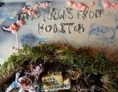 Bad News From Houston - In The Valley Of The Cloudbuilder (CD)