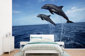 Behang - Fotobehang Dolfijn - Zee - Dier - Breedte 600 cm x hoogte 400 cm
