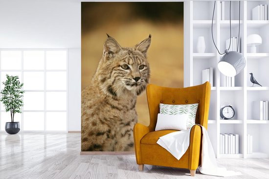 Papier peint - Papier peint photo Lynx - Marron - Herbe - Largeur 160 cm x hauteur 240 cm