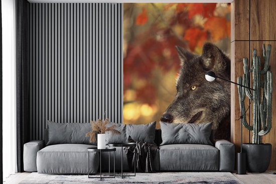 Papier peint - Papier peint photo Loup - Gros plan - Feuilles - Largeur 195 cm x hauteur 300 cm