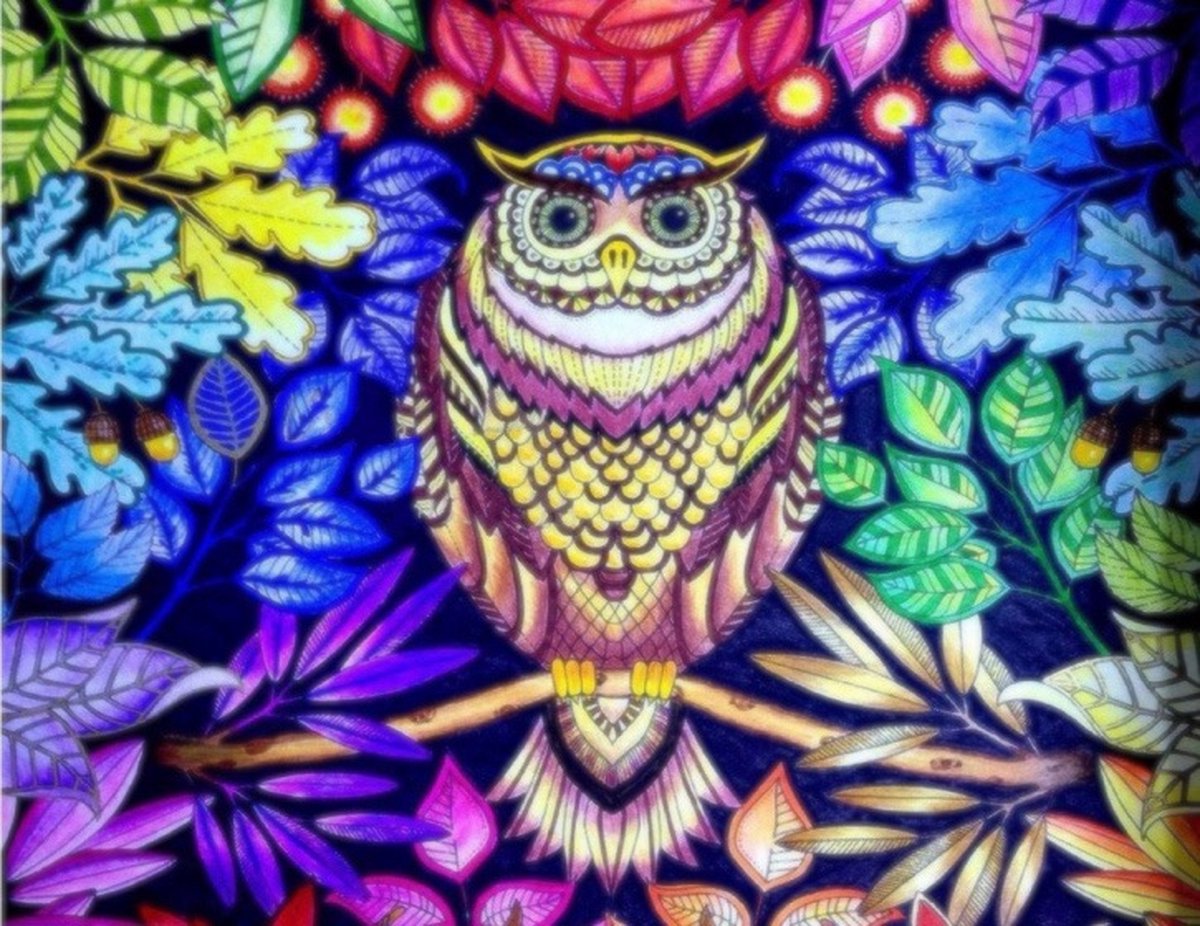 TOPMO -Kleurrijke Uil- Diamond painting- HQ Diamond Painting pakket - VOLLEDIG dekkend - Diamant Schilderen - voor Volwassenen – ROND- 40X50CM