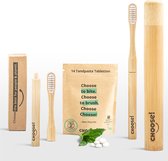 CHOOSE Bamboe Tandenborstel set (2x), Tandenborstelhouder & Gratis 14 Tandpasta Tabletten | Milieuvriendelijk | Vervangbare Borstel | Medium Borstel | Duurzaam Cadeau - Geschenkdoos -