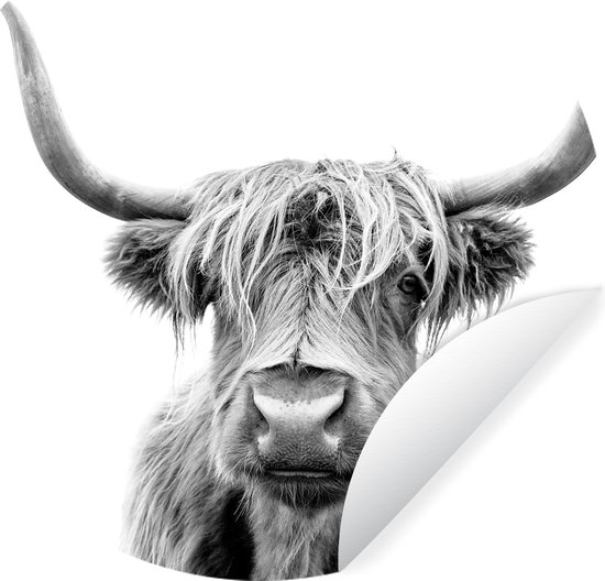 Wallpaper Circle - Scottish Highlander - Zwart - Wit - Animaux - 50x50 cm - Wall Circle