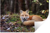 Stickers muraux - Sticker Foil - Renard - Forêt - Animal - 60x40 cm - Film Adhésif - Stickers muraux Muraux Chambre Enfant - Papier Peint Autocollant - Décoration Chambre Ados