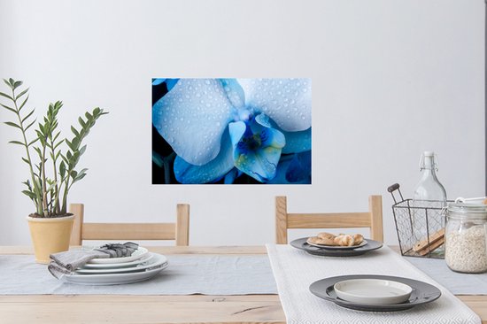 Muurstickers - Sticker Folie - Close-up van een blauwe orchidee met lichtgekleurde bladeren - 60x40 cm - Plakfolie - Muurstickers Kinderkamer - Zelfklevend Behang - Zelfklevend behangpapier - Stickerfolie