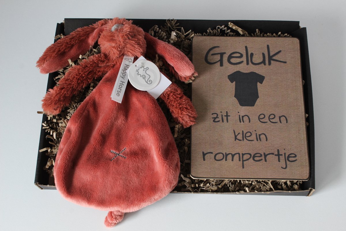 Goedkoopste Brievenbus cadeau Rabbit Richie Rusty - cadeau baby - knuffel happy horse