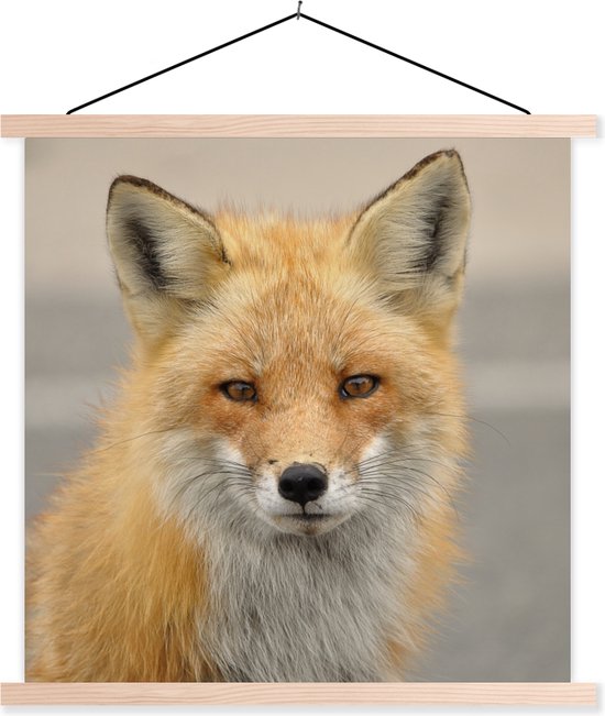Posterhanger incl. Poster 120x120 cm - Schoolplaat - Vos - Macro - Rood - Textielposter - Blanke latten