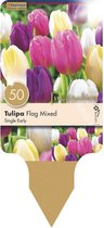 Zakje tulpenbollen - Tulipa Single Early Flag Mixed Colours - diverse kleuren tulpen - 50 bollen