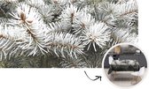 Tafelkleed - Tafellaken - 300x150 cm - Takken - Naaldboom - Winter - Binnen en Buiten