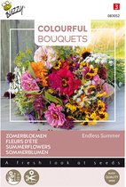 Graine de fleurs Buzzy - Fleurs d'été - Summer sans fin | Bouquets Colorés