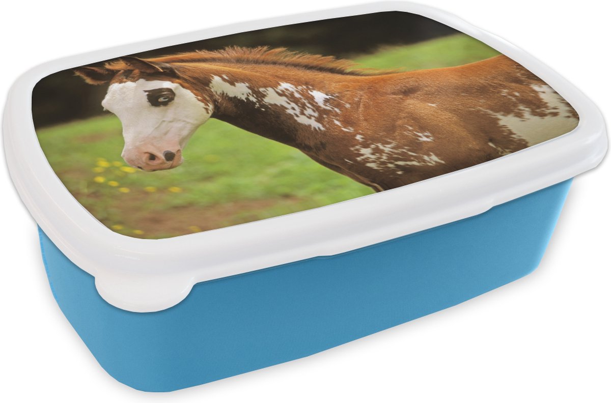 Broodtrommel Blauw - Lunchbox - Brooddoos - Paard - Wit - Bruin - 18x12x6 cm - Kinderen - Jongen