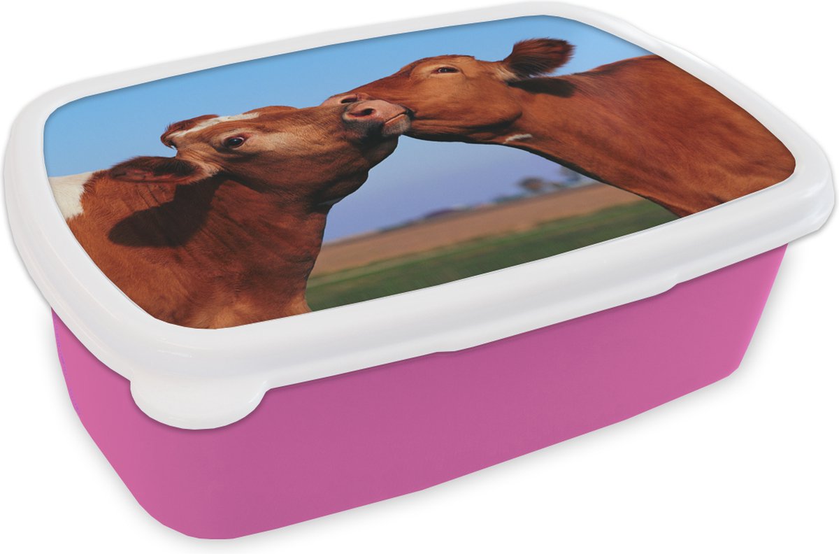 Broodtrommel Roze - Lunchbox - Brooddoos - Koeien - Bruin - Gras - 18x12x6 cm - Kinderen - Meisje