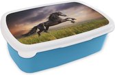Broodtrommel Blauw - Lunchbox - Brooddoos - Paard - Lucht - Nacht - Gras - 18x12x6 cm - Kinderen - Jongen