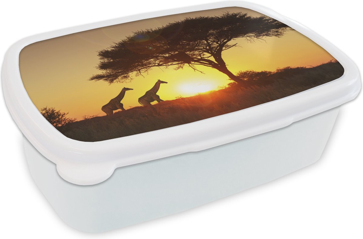 Broodtrommel Wit - Lunchbox - Brooddoos - Giraffes - Zon - Boom - Schaduw - 18x12x6 cm - Volwassenen