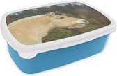 Broodtrommel Blauw - Lunchbox - Brooddoos - Close-up van een lichtbruin fjord paard - 18x12x6 cm - Kinderen - Jongen