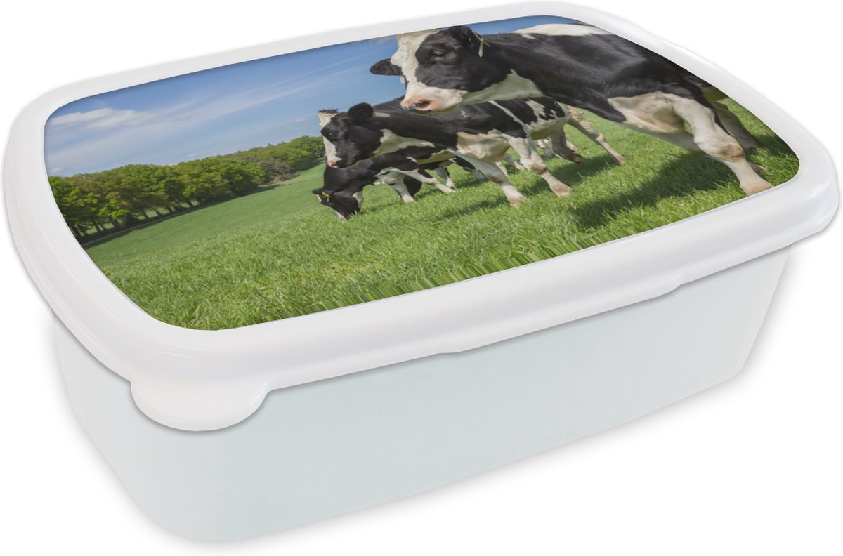Broodtrommel Wit - Lunchbox - Brooddoos - Koe - Gras - Weiland - 18x12x6 cm - Volwassenen