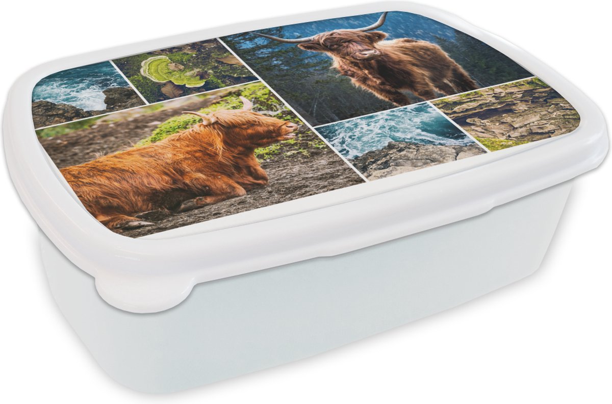 Broodtrommel Wit - Lunchbox - Brooddoos - Schotse Hooglander - Berg - Zee - 18x12x6 cm - Volwassenen