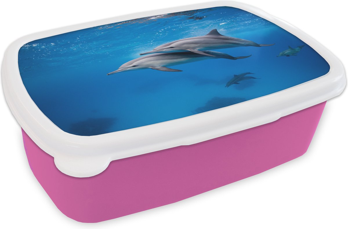 Broodtrommel Roze - Lunchbox - Brooddoos - Dolfijn - Zee - Egypte - 18x12x6 cm - Kinderen - Meisje