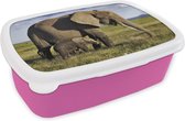 Broodtrommel Roze - Lunchbox - Brooddoos - Moeder en baby olifant door de savanne - 18x12x6 cm - Kinderen - Meisje