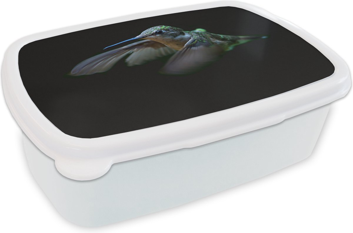 Broodtrommel Wit - Lunchbox - Brooddoos - Kolibrie - Vogel - Veren - Zwart - 18x12x6 cm - Volwassenen