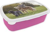 Broodtrommel Roze - Lunchbox - Brooddoos - Hond - Park - Gras - 18x12x6 cm - Kinderen - Meisje