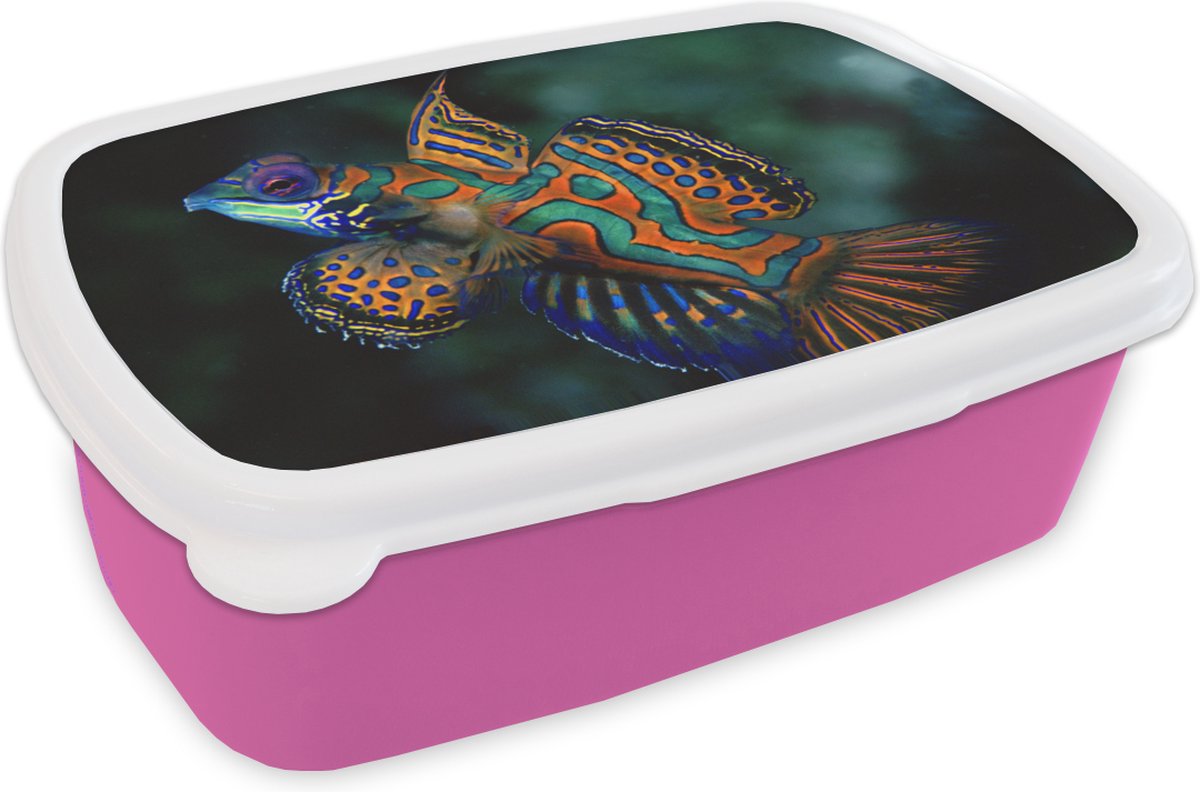 Broodtrommel Roze - Lunchbox - Brooddoos - Vis - Zee - Oranje - 18x12x6 cm - Kinderen - Meisje