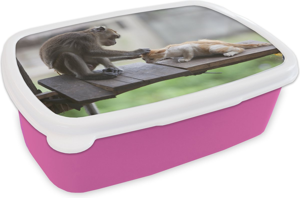 Broodtrommel Roze - Lunchbox - Brooddoos - Kat - Aap - Hout - 18x12x6 cm - Kinderen - Meisje