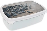 Broodtrommel Wit - Lunchbox - Brooddoos - Een grote groep duiven op straat - 18x12x6 cm - Volwassenen