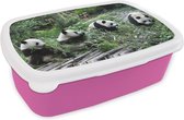 Broodtrommel Roze - Lunchbox - Brooddoos - Panda - Natuur - Bamboe - 18x12x6 cm - Kinderen - Meisje