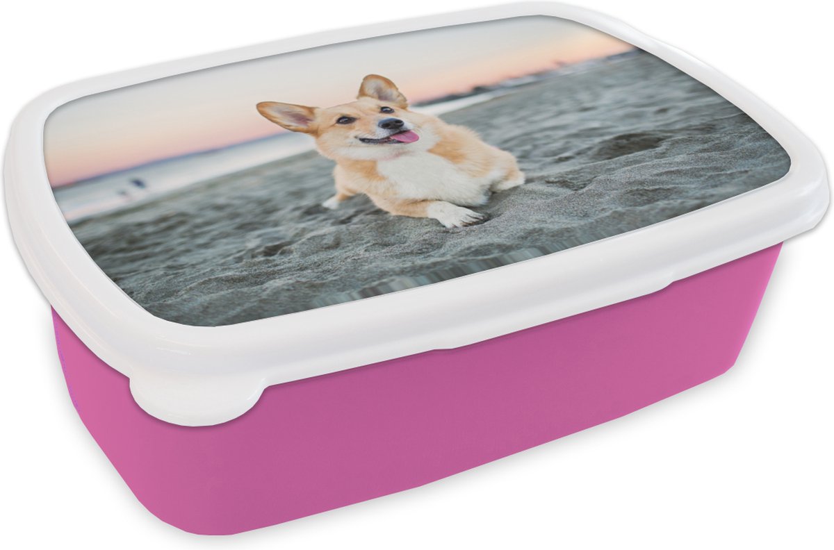 Broodtrommel Roze - Lunchbox - Brooddoos - Hond op het strand - 18x12x6 cm - Kinderen - Meisje